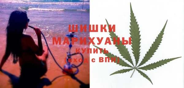 бошки Бородино
