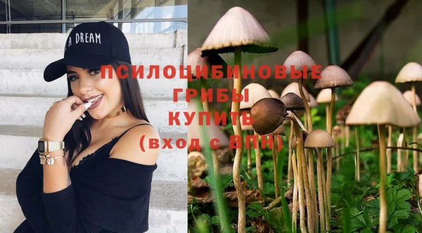 синтетический гашиш Верхний Тагил
