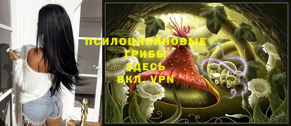 твердый Верея
