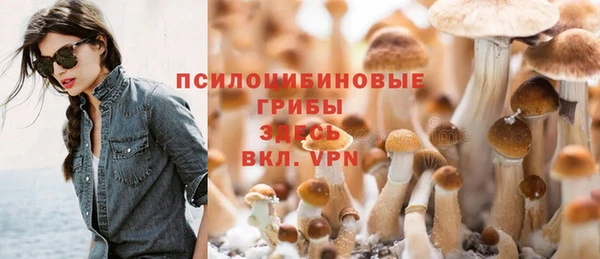 мяу мяу мука Верхнеуральск