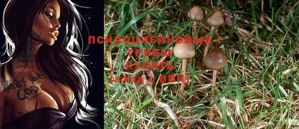 твердый Верея