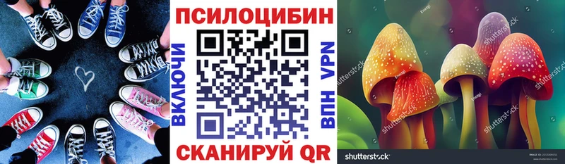 Галлюциногенные грибы мицелий Щучье